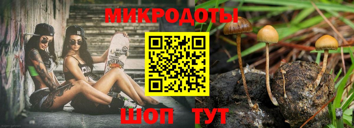 Псилоцибиновые грибы ЛСД Моздок