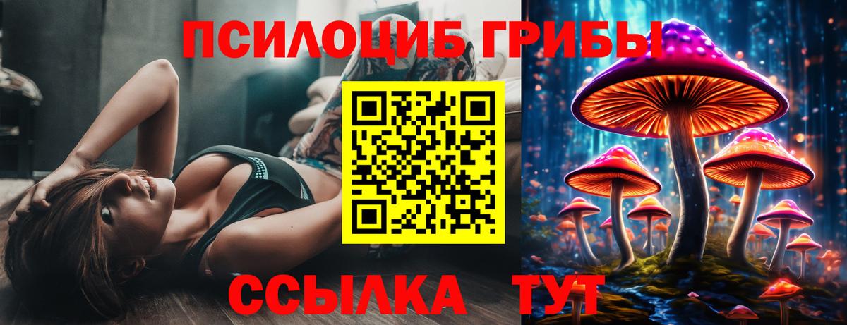 Галлюциногенные грибы прущие грибы  Вход с VPN  Моздок  Псилоцибиновые грибы Psilocybe 